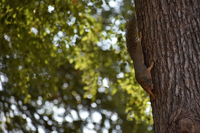 键比赛中力 键比赛中力