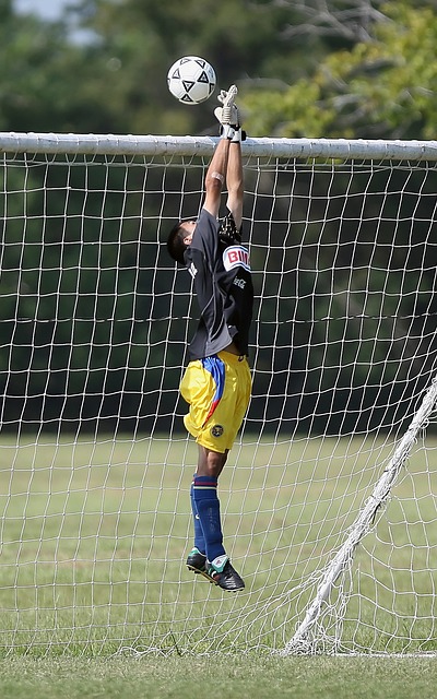 国米已经向 国米已经向