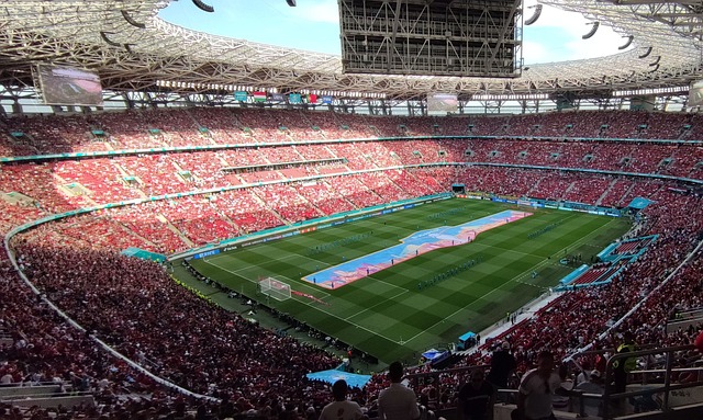 作为克罗地 作为克罗地