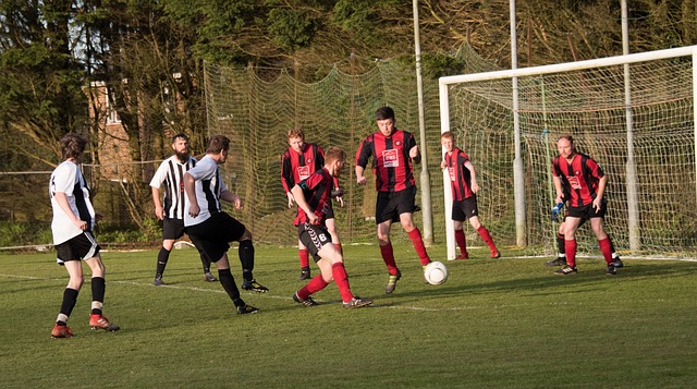 哈登都有着 哈登都有着