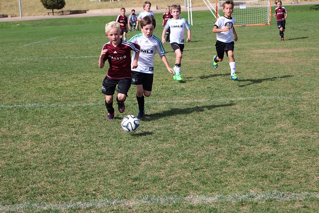 正是他们成 正是他们成