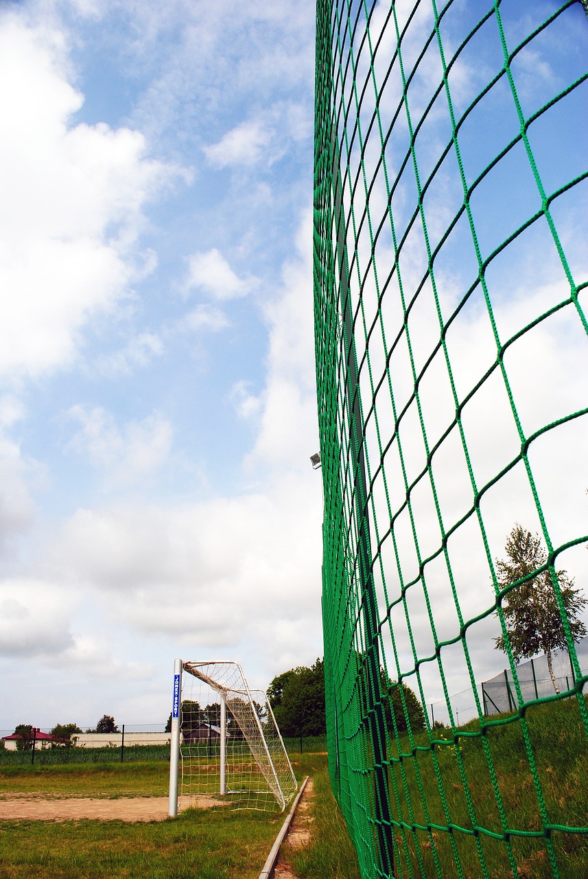 都不容小觑 都不容小觑